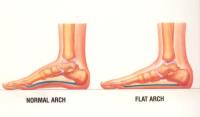 Trigg Podiatry image 3